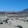 Lanzarote-Spiaggia Papagayo3